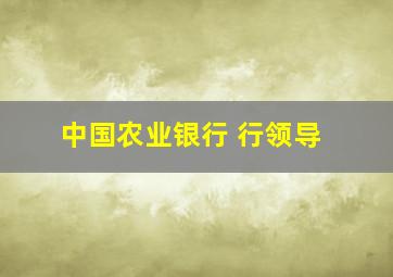 中国农业银行 行领导